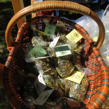 Mlinarjeva pot 14.09.2013 81